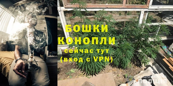 ПСИЛОЦИБИНОВЫЕ ГРИБЫ Алексин