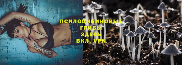 ПСИЛОЦИБИНОВЫЕ ГРИБЫ Алексин
